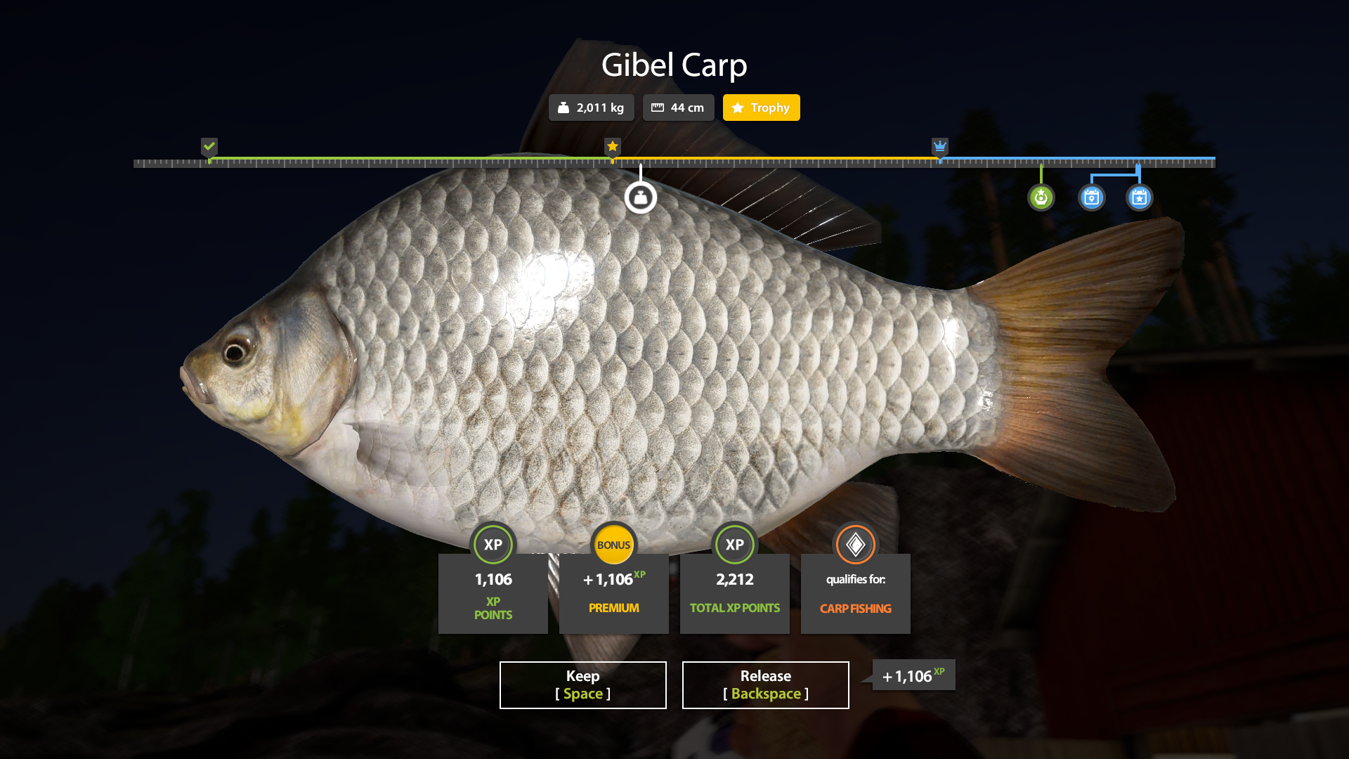 Gibel Carp
