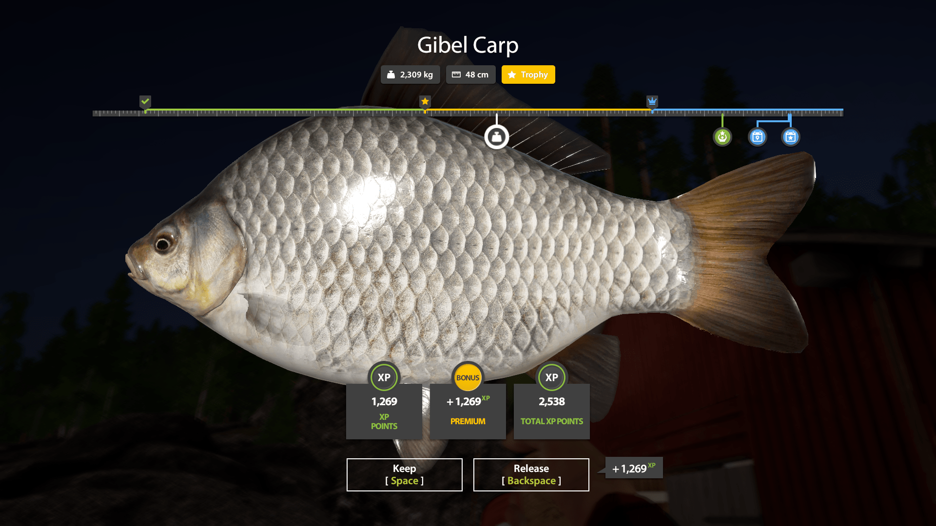 Gibel Carp