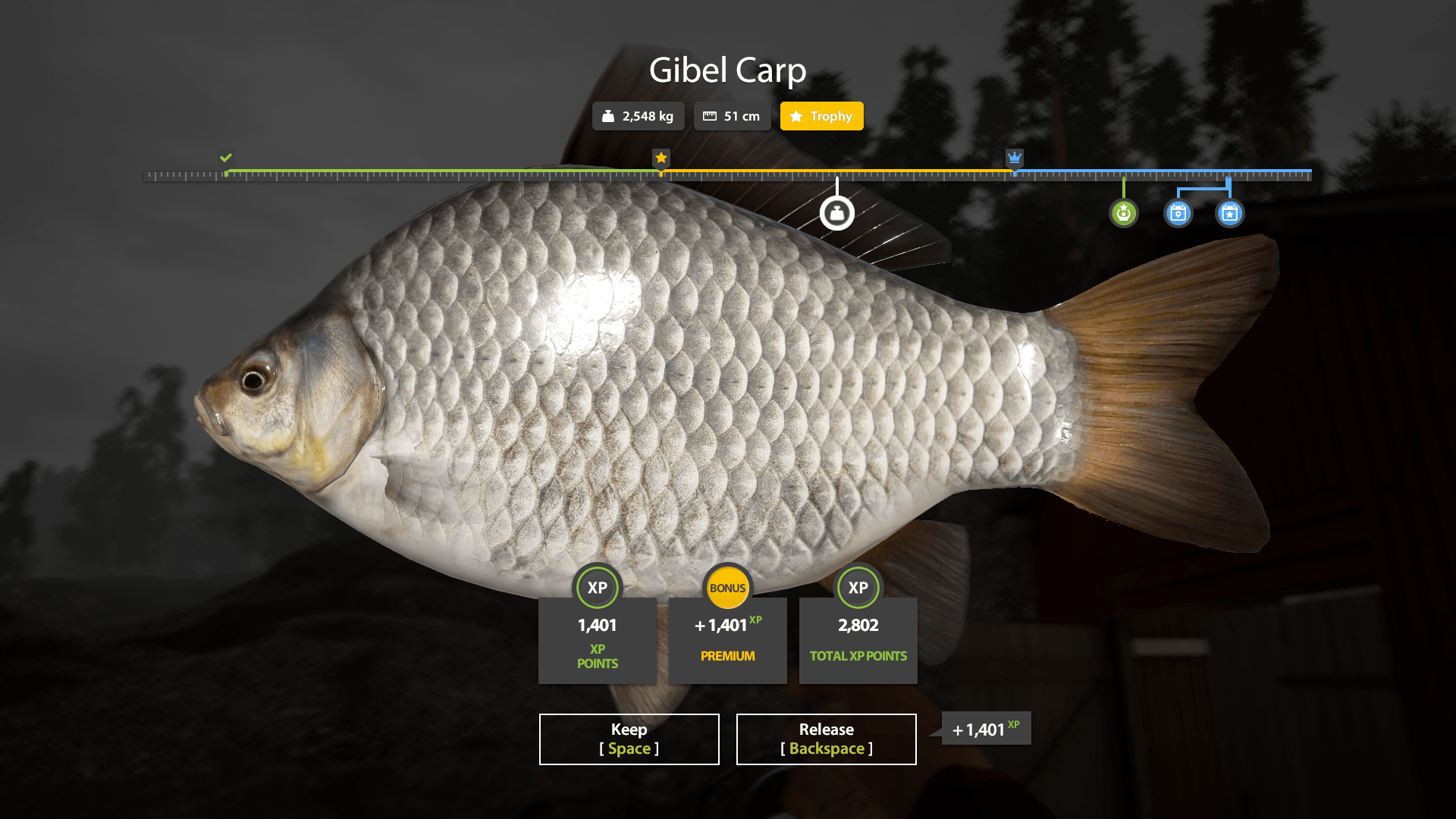 Gibel Carp