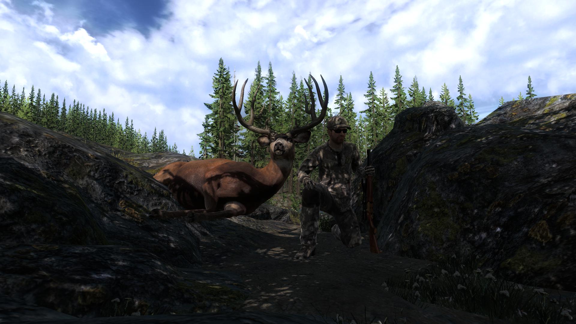 Veado Cauda Preta 192.0078