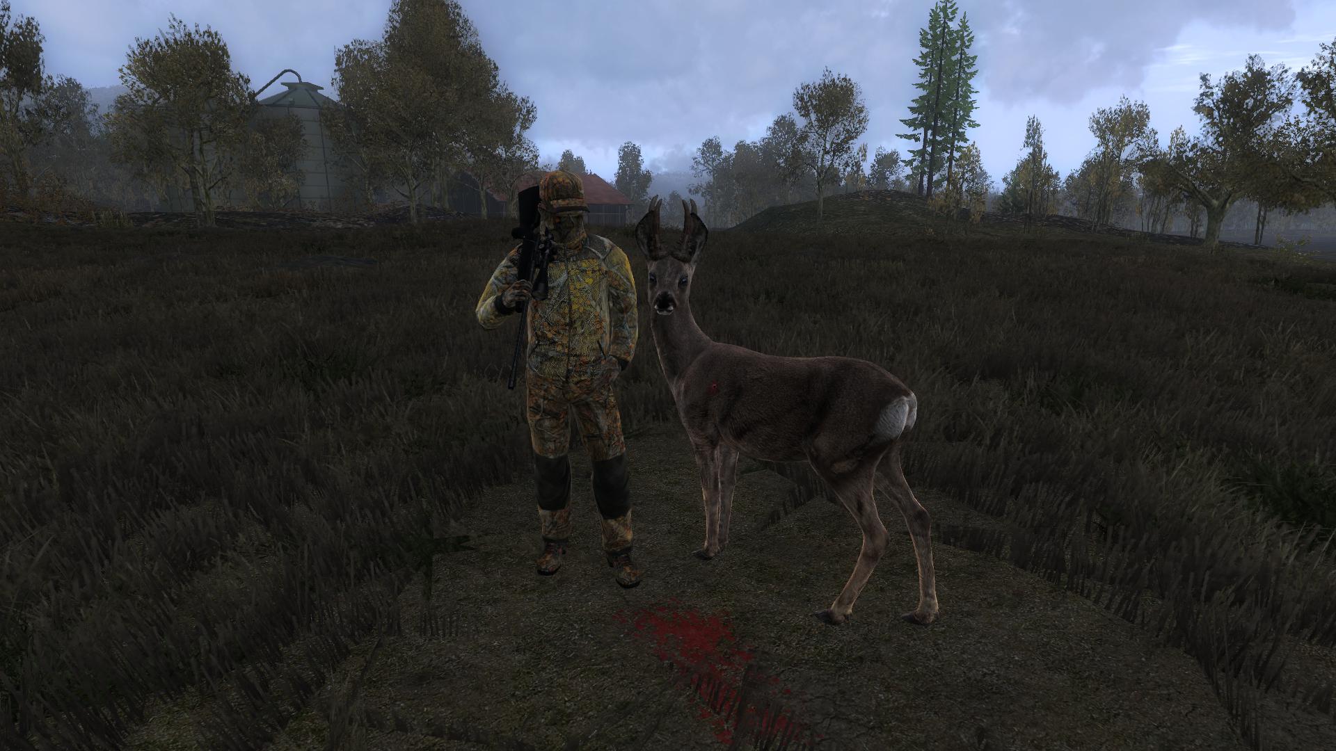 Corça Troféu 255.7426