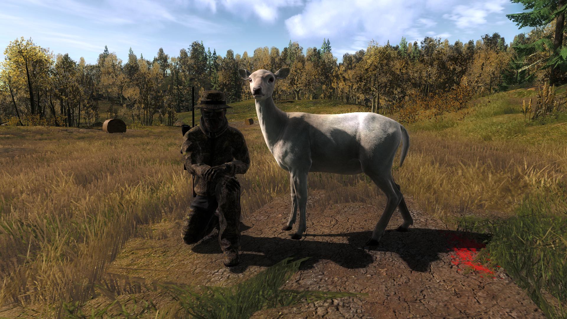 Veado-Gamo Raro (Fallow Deer) fêmea Leucística