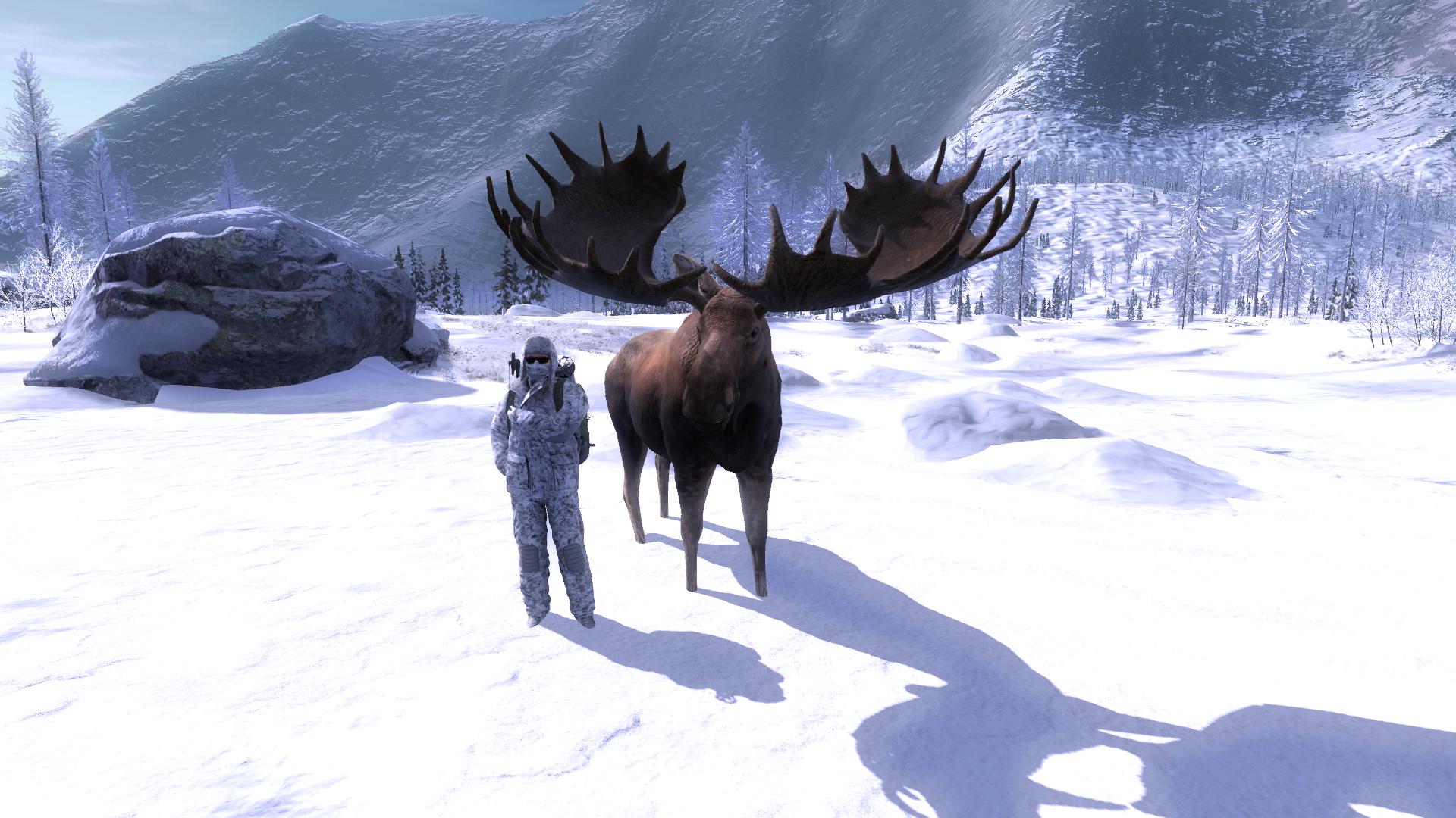 Alce Troféu 228.8190