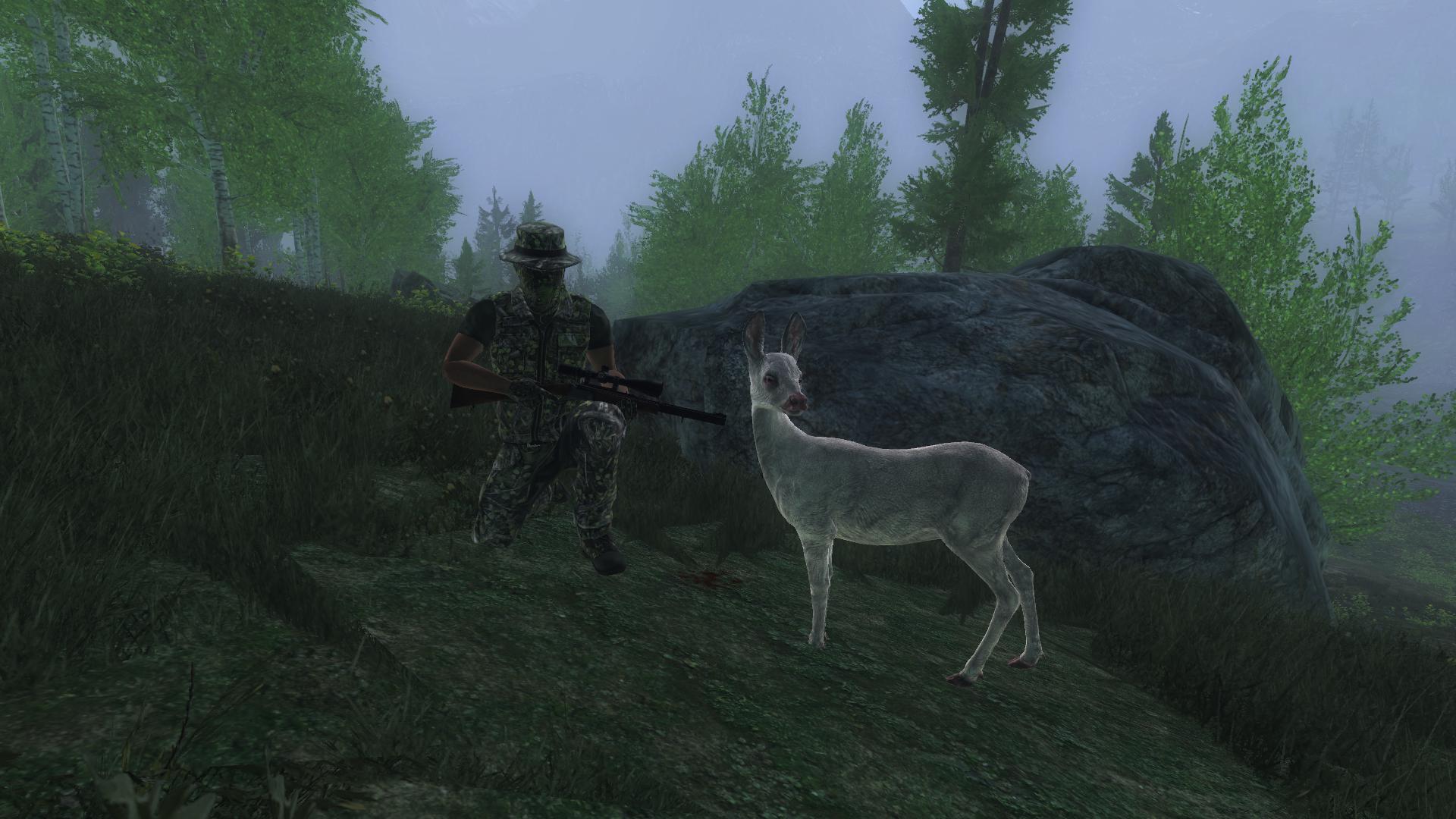 Corça Albina em Val-des-Bois