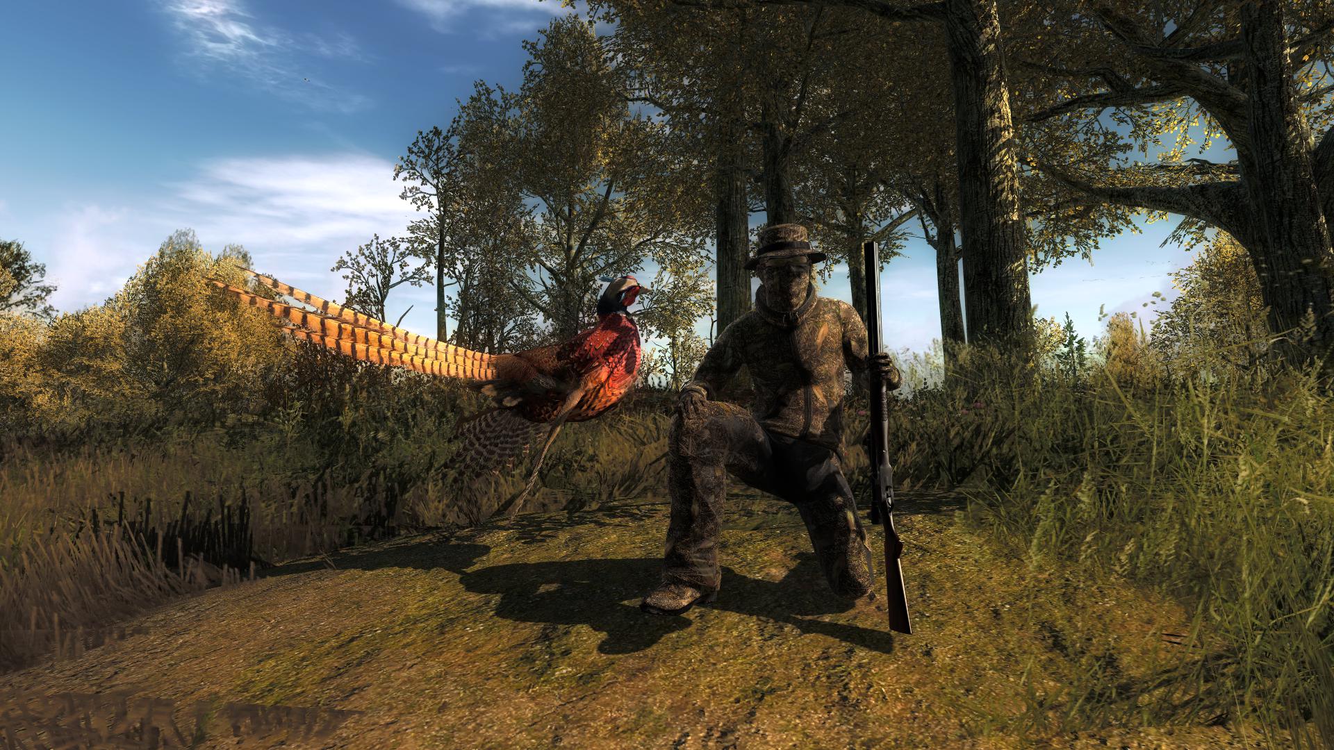 Faisão 28.4735 - Hirschfelden