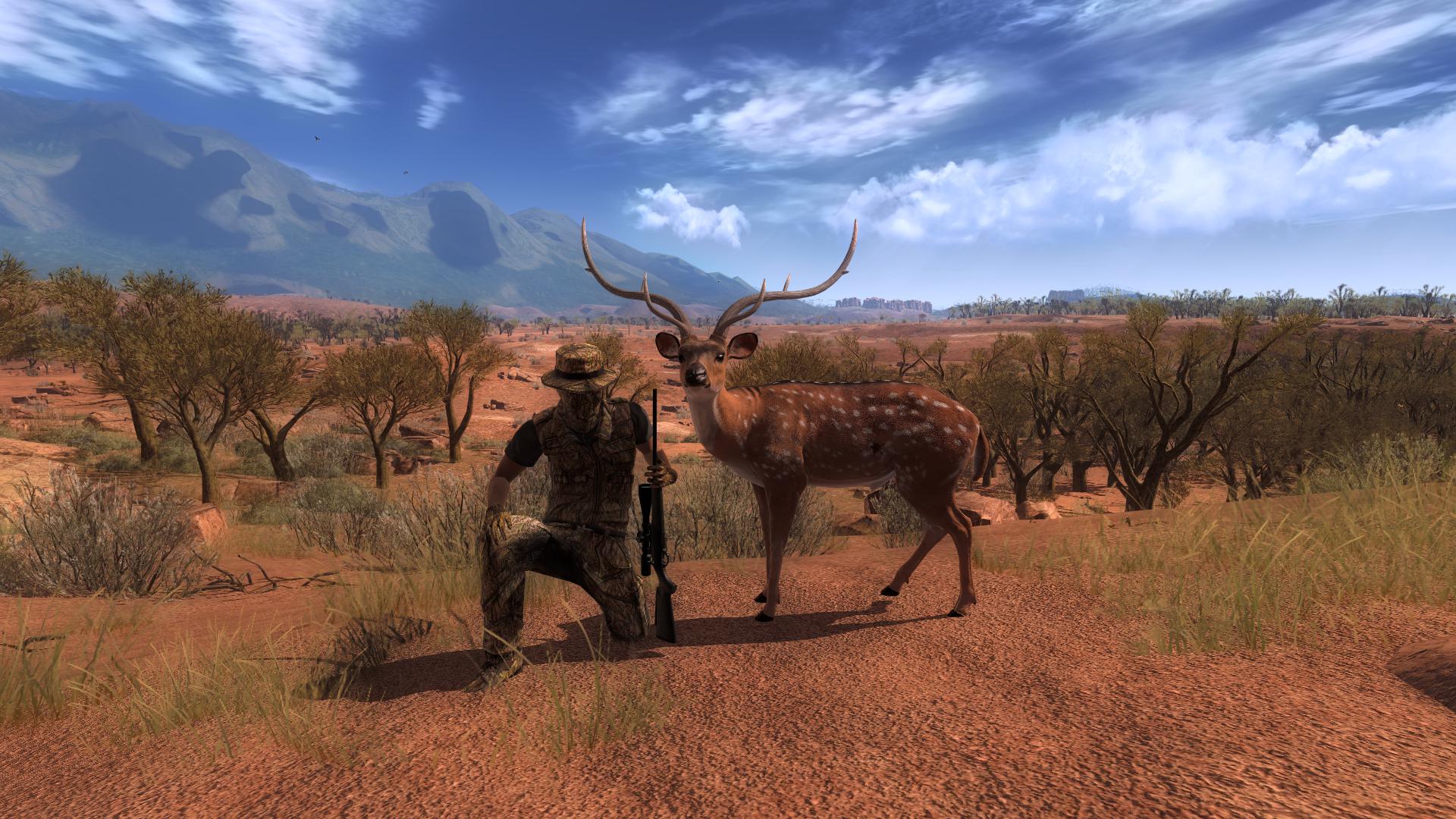 Veado-Chital de 202.8347 (top 100) - Bushrangers Run